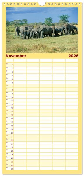 Produktbild: Familienplaner 2026 - Elefanten in der Serengeti mit 5 Spalten (Wandkalender, 21 x 45 cm) CALVENDO
