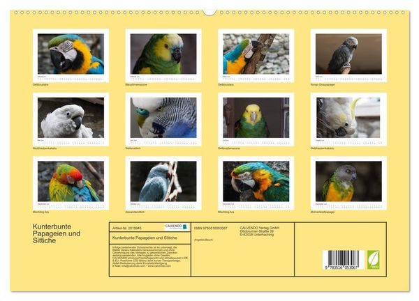 Produktbild: Kunterbunte Papageien und Sittiche (hochwertiger Premium Wandkalender 2026 DIN A2 quer), Kunstdruck in Hochglanz