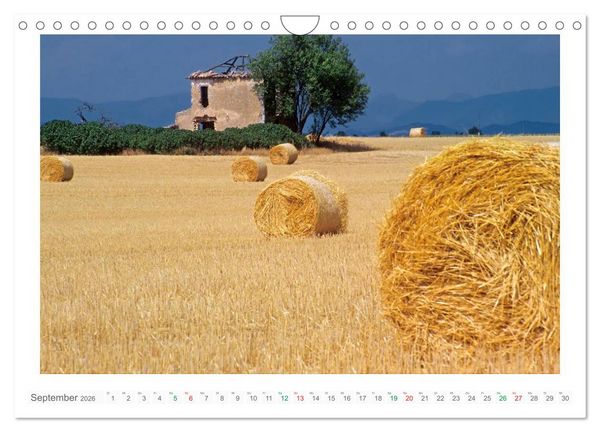 Produktbild: Farbenfrohe Provence (Wandkalender 2026 DIN A4 quer), CALVENDO Monatskalender