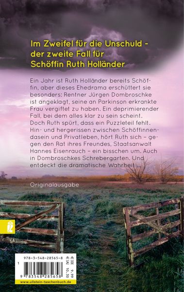 Produktbild: S&uuml;ndenbock / Sch&ouml;ffin Ruth Holl&auml;nder Bd.2