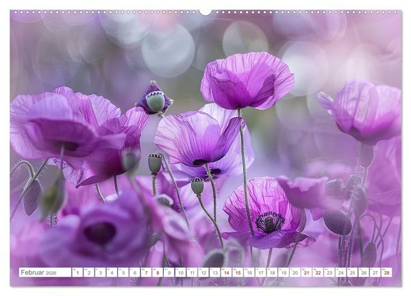 Produktbild: Bezaubernde Mohnblumen (hochwertiger Premium Wandkalender 2026 DIN A2 quer), Kunstdruck in Hochglanz
