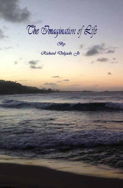 Produktbild: The Imagination Of Life
