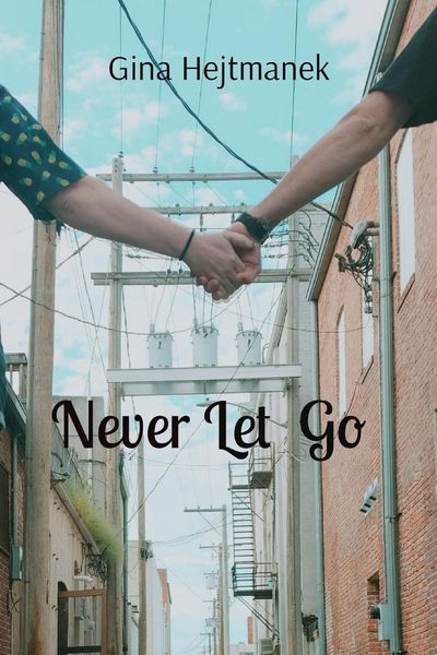 Produktbild: Never Let Go