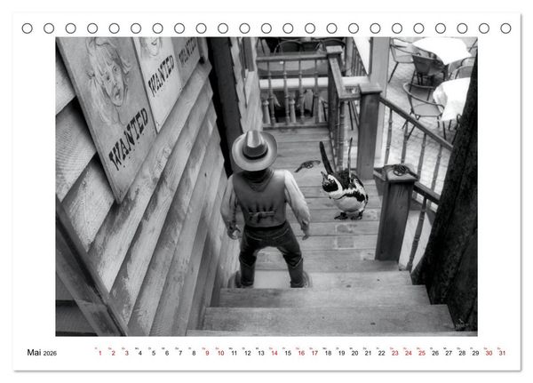 Produktbild: Pinguine privat (Tischkalender 2026 DIN A5 quer), CALVENDO Monatskalender