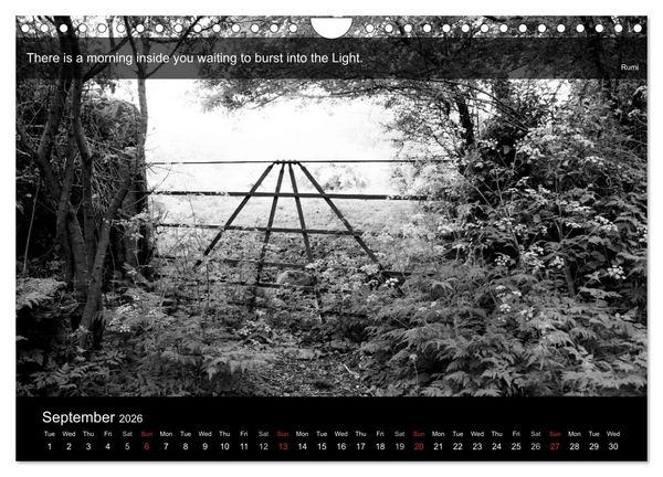 Produktbild: Through the Gate with Rumi (Wall Calendar 2026 DIN A4 landscape), CALVENDO 12 Month Wall Calendar