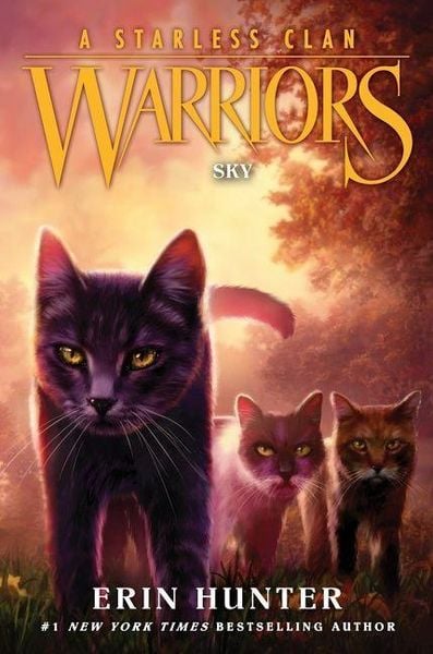 Produktbild: Warriors: A Starless Clan 02: Sky