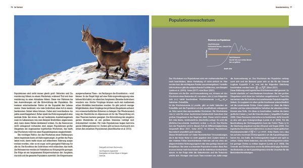 Produktbild: Der Steinbock