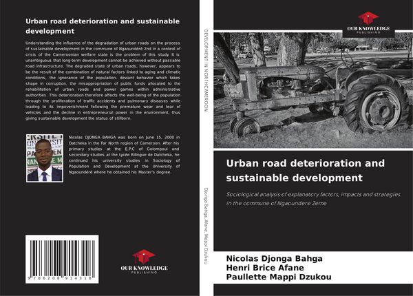 Produktbild: Urban road deterioration and sustainable development