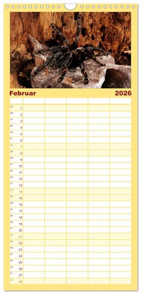 Produktbild: Familienplaner 2026 - Vogelspinnen - Tarantulas mit 5 Spalten (Wandkalender, 21 x 45 cm) CALVENDO