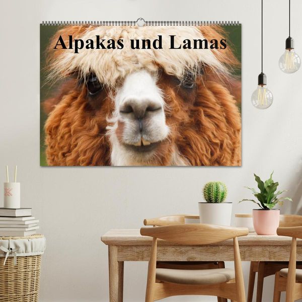 Produktbild: Alpakas und Lamas (Wandkalender 2026 DIN A2 quer), CALVENDO Monatskalender