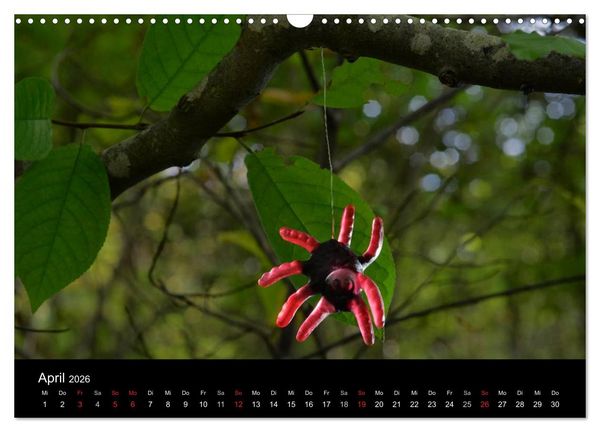 Produktbild: Die Welt der Fruchtgummis (Wandkalender 2026 DIN A3 quer), CALVENDO Monatskalender