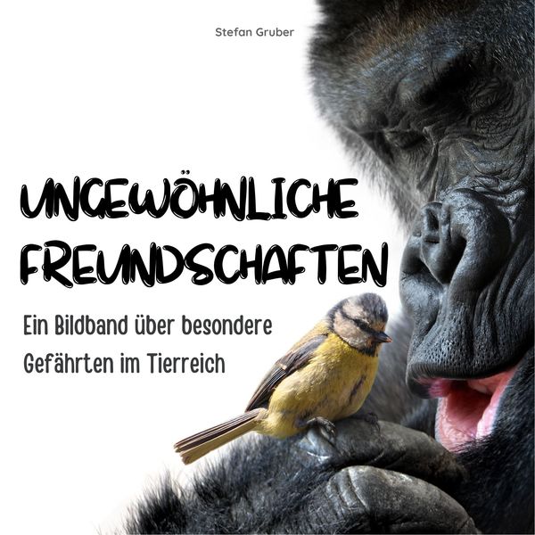 Ungewöhnliche Freundschaften, Taschenbuch von Stefan Gruber, 27amigos, 9783750503885