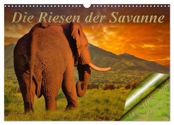 Produktbild: Die Riesen der Savanne (Wandkalender 2026 DIN A3 quer), CALVENDO Monatskalender