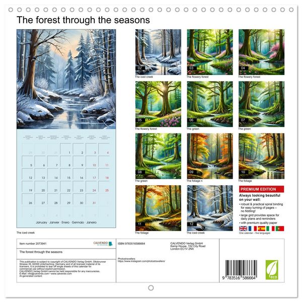 Produktbild: The forest through the seasons (Wall Calendar 2026 12 &times; 12 Inch) CALVENDO 12 Month Wall Calendar