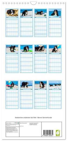 Produktbild: Familienplaner 2027 - Seeb&auml;rchen entdecken die Welt - Berner Sennenhunde mit 5 Spalten (Wandkalender, 21 x 45 cm) CALVENDO