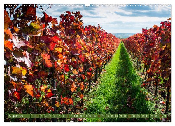 Produktbild: Wein - Landschaften (hochwertiger Premium Wandkalender 2026 DIN A2 quer), Kunstdruck in Hochglanz