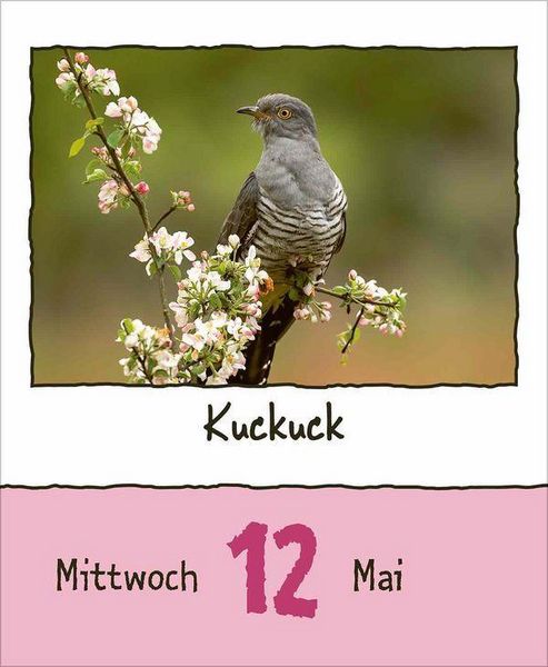 Produktbild: Tierisch unterwegs 2027