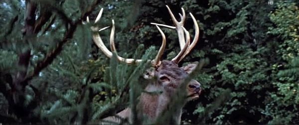 Produktbild: Der Hirsch mit dem goldenen Geweih (Filmjuwelen / DEFA-M&auml;rchen)