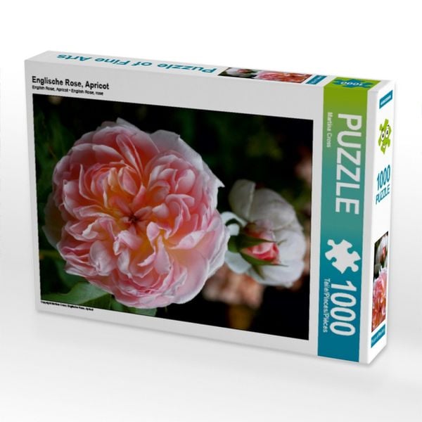 Produktbild: CALVENDO Puzzle Englische Rose, Apricot | 1000 Teile Lege-Gr&ouml;&szlig;e 64x48cm Foto-Puzzle f&uuml;r gl&uuml;ckliche Stunden