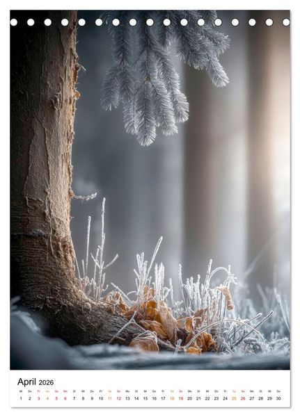Produktbild: Wintermomente - Natur im wei&szlig;en Kleid (Tischkalender 2026 DIN A5 hoch), CALVENDO Monatskalender