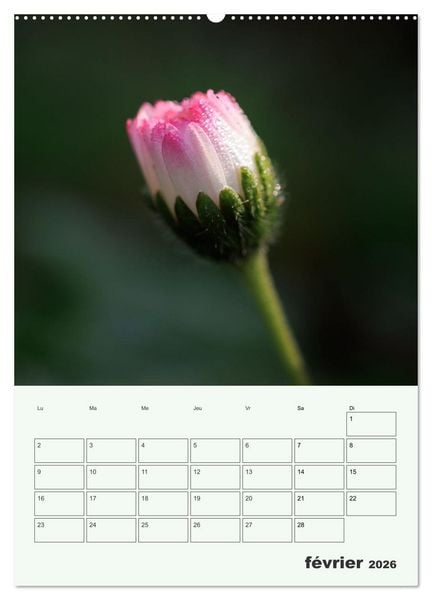 Produktbild: Fleurs en toute simplicit&eacute; - Beaut&eacute; minimaliste (Calendrier mural 2026 DIN A2 horizontal) calendrier de bureau