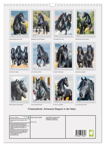 Produktbild: Friesenpferde. Schwarze Eleganz in der Natur (Wandkalender 2027 DIN A3 hoch), CALVENDO Monatskalender