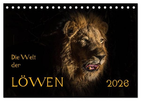 Produktbild: Die Welt der L&ouml;wen (Tischkalender 2026 DIN A5 quer), CALVENDO Monatskalender