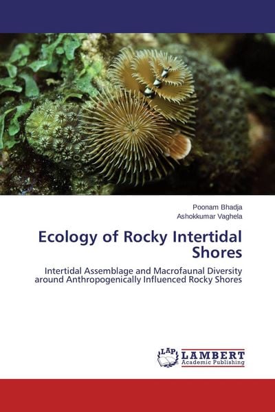 Produktbild: Ecology of Rocky Intertidal Shores