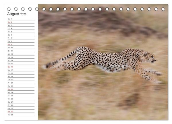 Produktbild: Emotionale Momente: Mein wildes Afrika (Tischkalender 2026 DIN A5 quer), CALVENDO Monatskalender