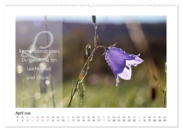 Produktbild: Kraft f&uuml;r Deine Seele (Wandkalender 2026 DIN A2 quer), CALVENDO Monatskalender