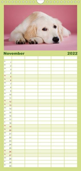 Produktbild: Familienplaner Golden Retriever (Wandkalender 2022 , 21 cm x 45 cm, hoch)