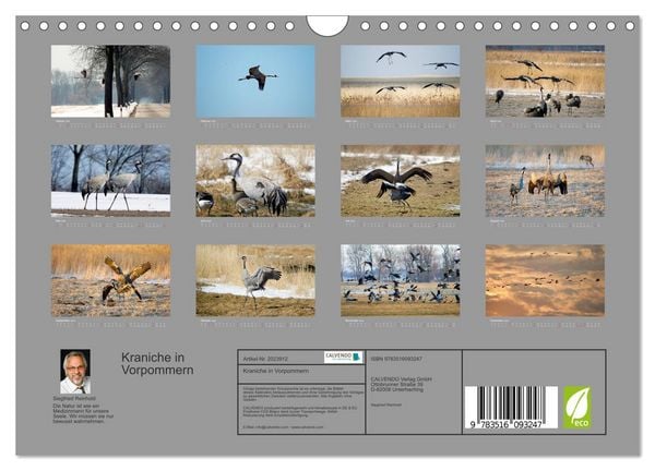 Produktbild: Kraniche in Vorpommern (Wandkalender 2026 DIN A4 quer), CALVENDO Monatskalender
