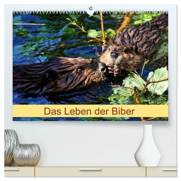 Das Leben der Biber (hochwertiger Premium Wandkalender 2026 DIN A2 quer), Kunstdruck in Hochglanz