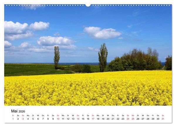 Produktbild: Ostseek&uuml;ste 2026 (Wandkalender 2026 DIN A2 quer), CALVENDO Monatskalender