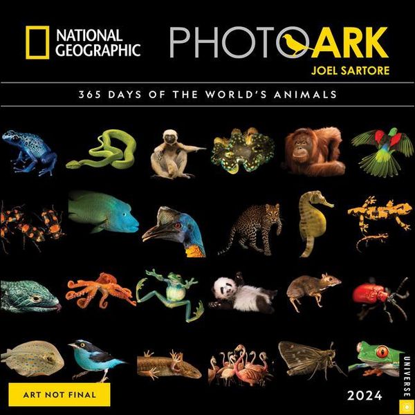 Produktbild: Sartore, J: National Geographic: The Photo Ark 2024 Wall Cal