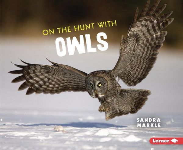 Produktbild: On the Hunt with Owls