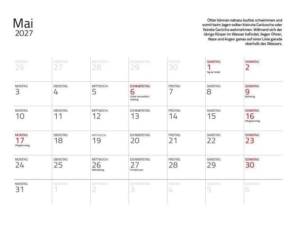 Produktbild: Otter Kalender 2027 Wandkalender Eintragkalender