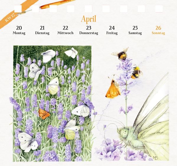Produktbild: Kalender mit 53 Postkarten