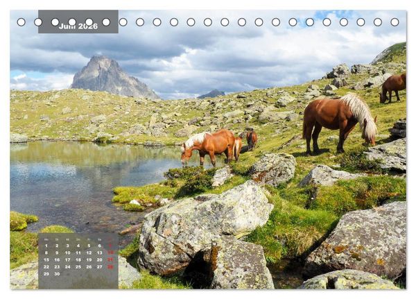 Produktbild: Die wilden Pyren&auml;en (Tischkalender 2026 DIN A5 quer), CALVENDO Monatskalender