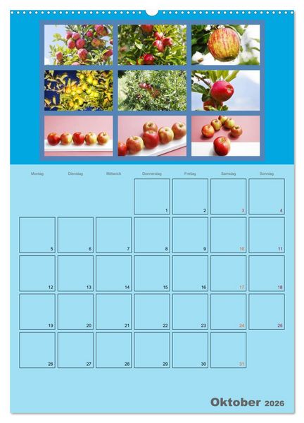 Produktbild: Food (hochwertiger Premium Wandkalender 2026 DIN A2 hoch), Kunstdruck in Hochglanz