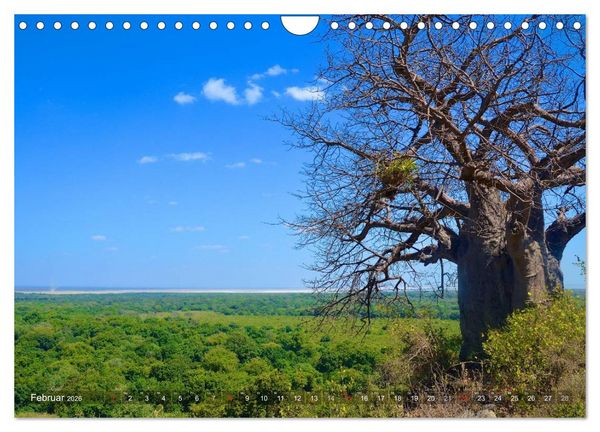 Produktbild: Tansania - Faszinierendes Afrika (Wandkalender 2026 DIN A4 quer), CALVENDO Monatskalender