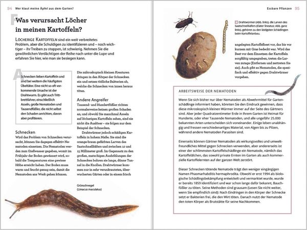 Produktbild: Wer klaut meine &Auml;pfel aus dem Garten