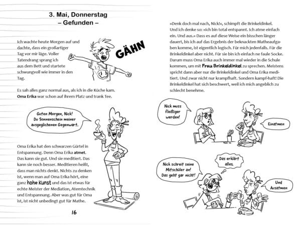 Produktbild: Ninja ohne Plan