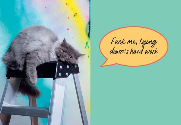 Produktbild: Sweary Cats