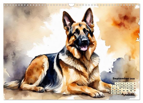 Produktbild: Deutsche Sch&auml;ferhunde - Klassiker rund um den Globus (Wandkalender 2026 DIN A3 quer), CALVENDO Monatskalender