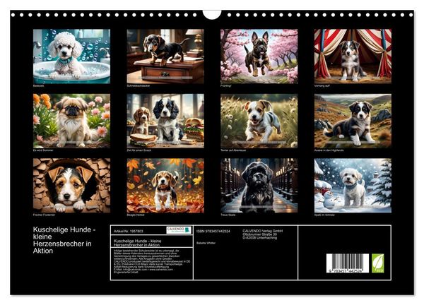 Produktbild: Kuschelige Hunde - kleine Herzensbrecher in Aktion (Wandkalender 2026 DIN A3 quer), CALVENDO Monatskalender