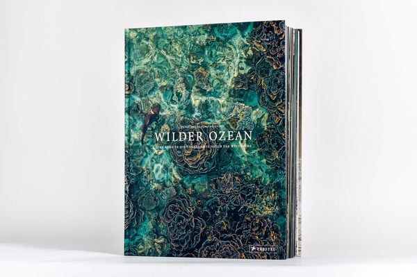 Produktbild: Wilder Ozean