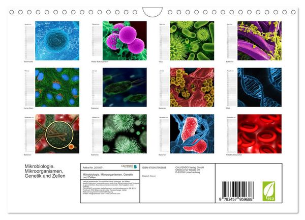 Produktbild: Mikrobiologie. Mikroorganismen, Genetik und Zellen (Wandkalender 2026 DIN A4 quer), CALVENDO Monatskalender