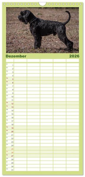Produktbild: Familienplaner 2026 - Schnauzer... von Zwergen und Riesen 2026 mit 5 Spalten (Wandkalender, 21 x 45 cm) CALVENDO