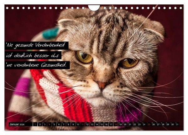 Produktbild: Der "philosophische" Katzenkalender 2026 (Wandkalender 2026 DIN A4 quer), CALVENDO Monatskalender
